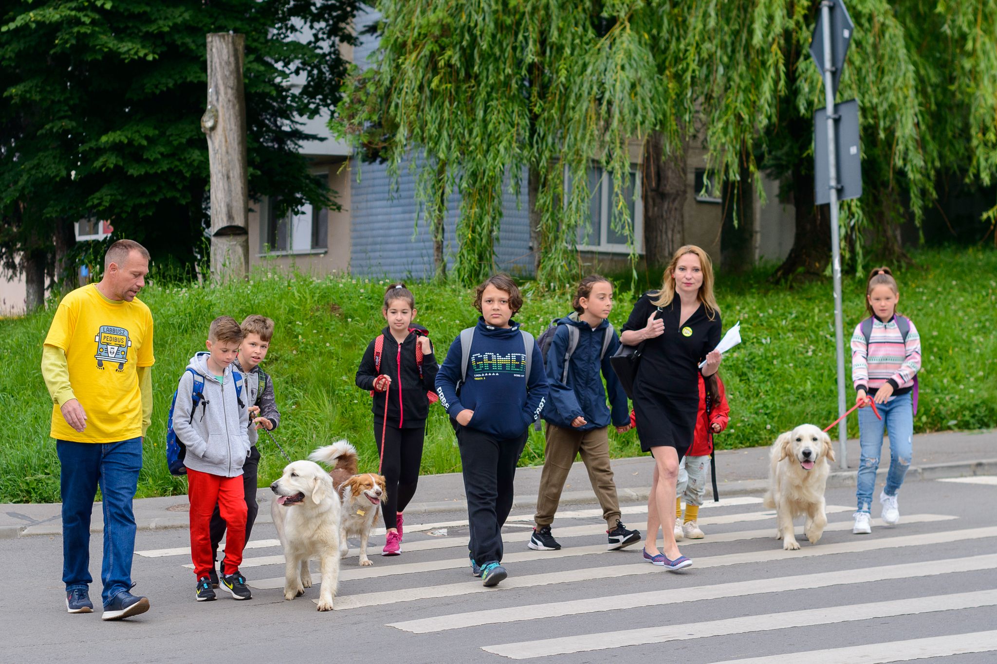 Újabb útvonallal bővül a Lábbusz menetrendje