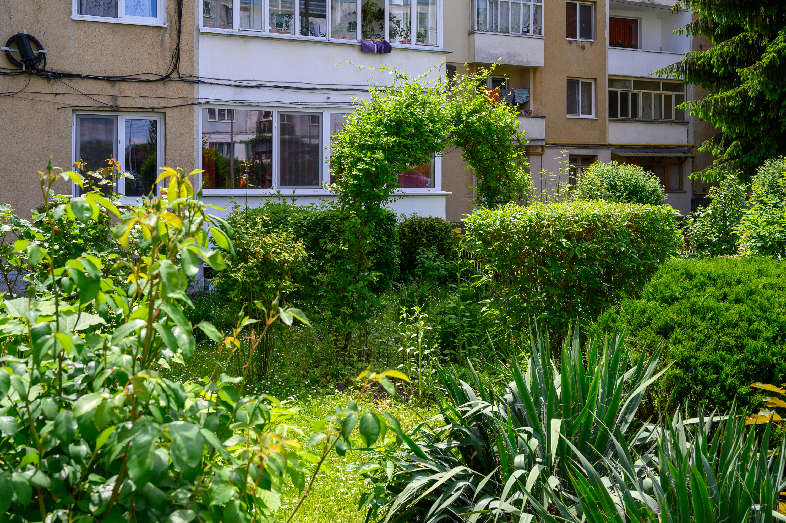 Április végéig jelentkezhetnek az idei Zöldövezetészpítési programra a sepsiszentgyörgyi lakótársulások